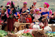 Highlights Of Vietnam 10 Days 9 Nights North To South Package Tour